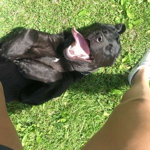 Meet your Posher, Sean